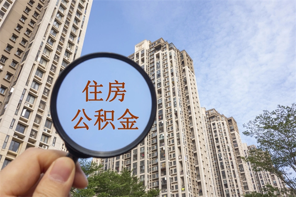 洛阳辞职可以取住房公积金吗（我辞职了可以提取住房公积金吗）